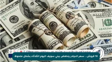 10 قروش.. سعر الدولار ينخفض ببني سويف اليوم الثلاثاء بشكل ملحوظ